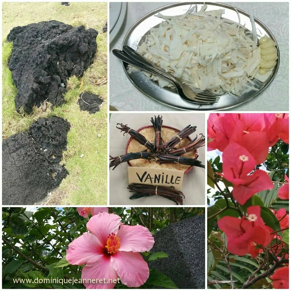 Découverte de l’Ile de la Réunion