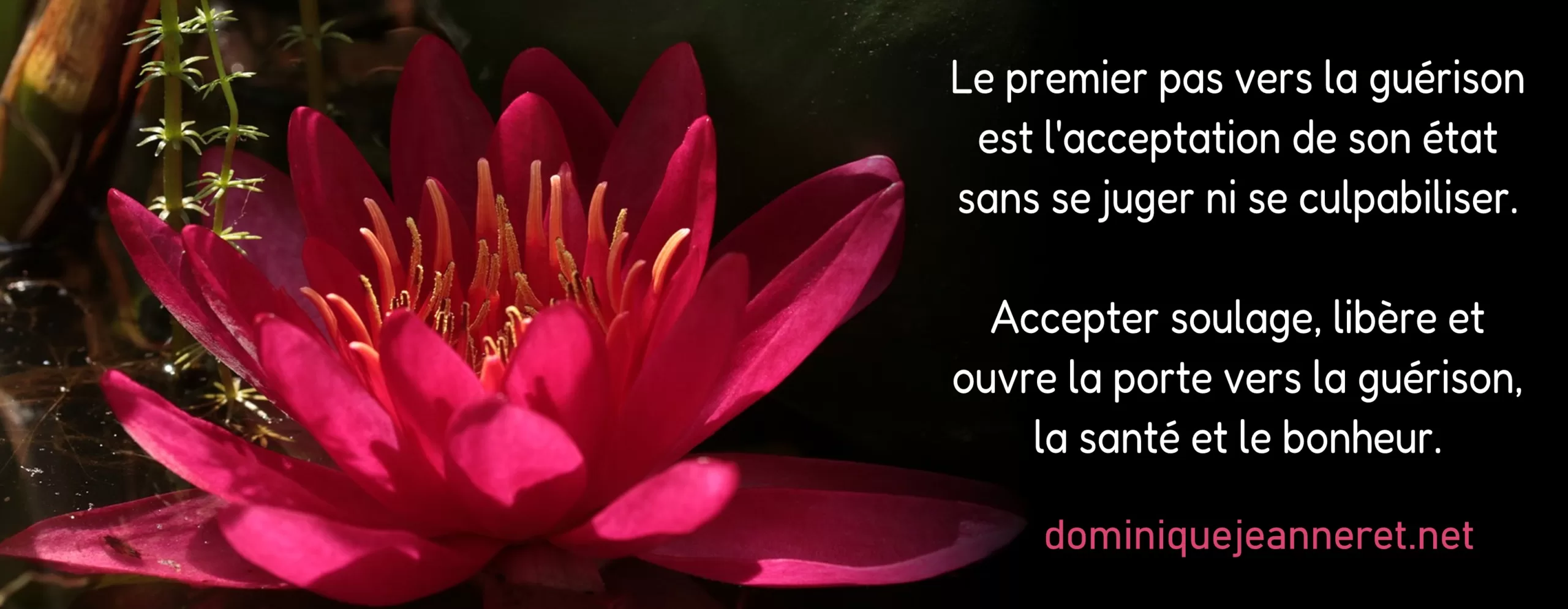 Accepter la souffrance pour guérir – La mal-a-dit de manque d’Amour